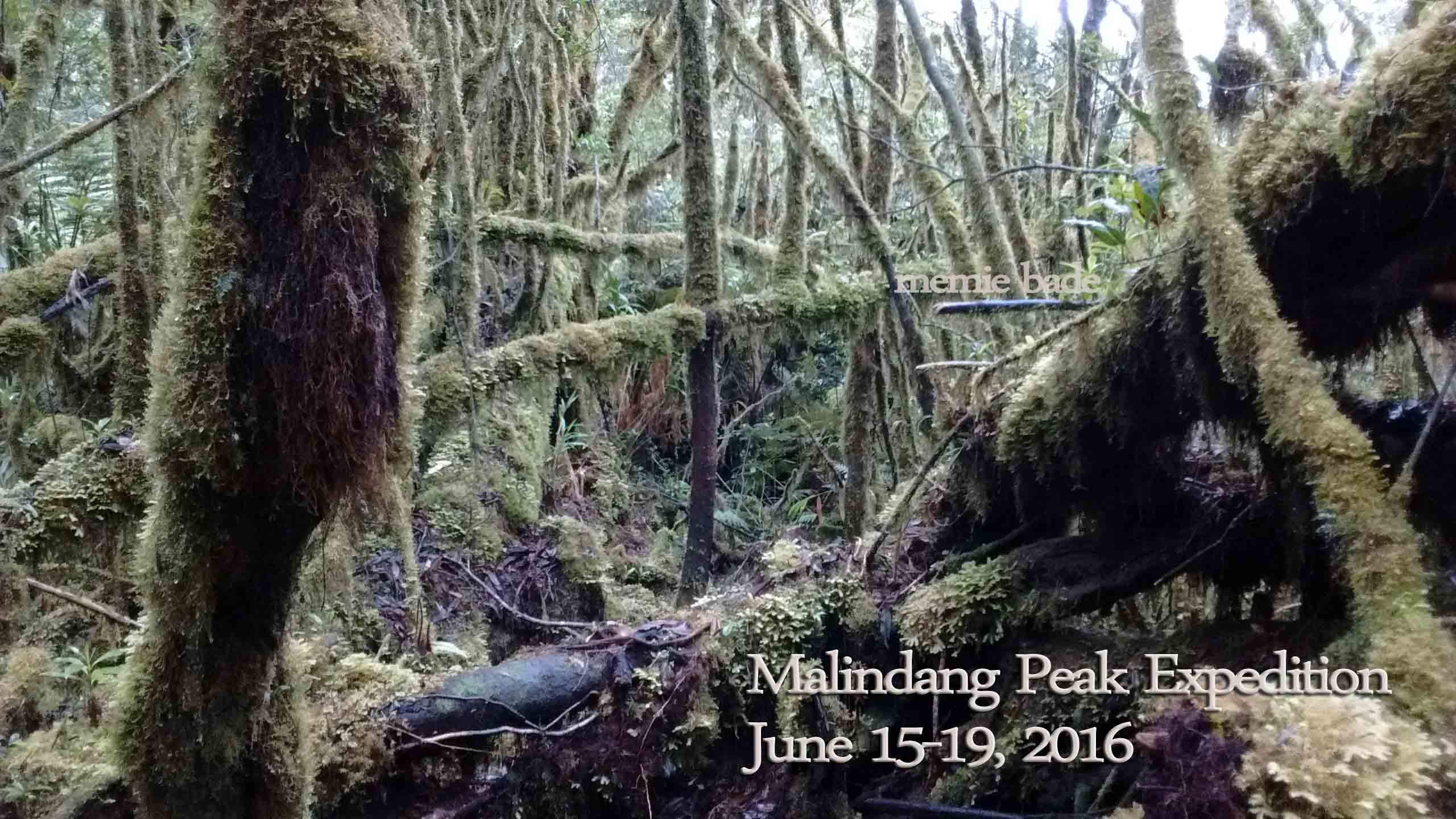 thephotos/2016/malindang peak expedition/IMG_20160618_085753857.jpg